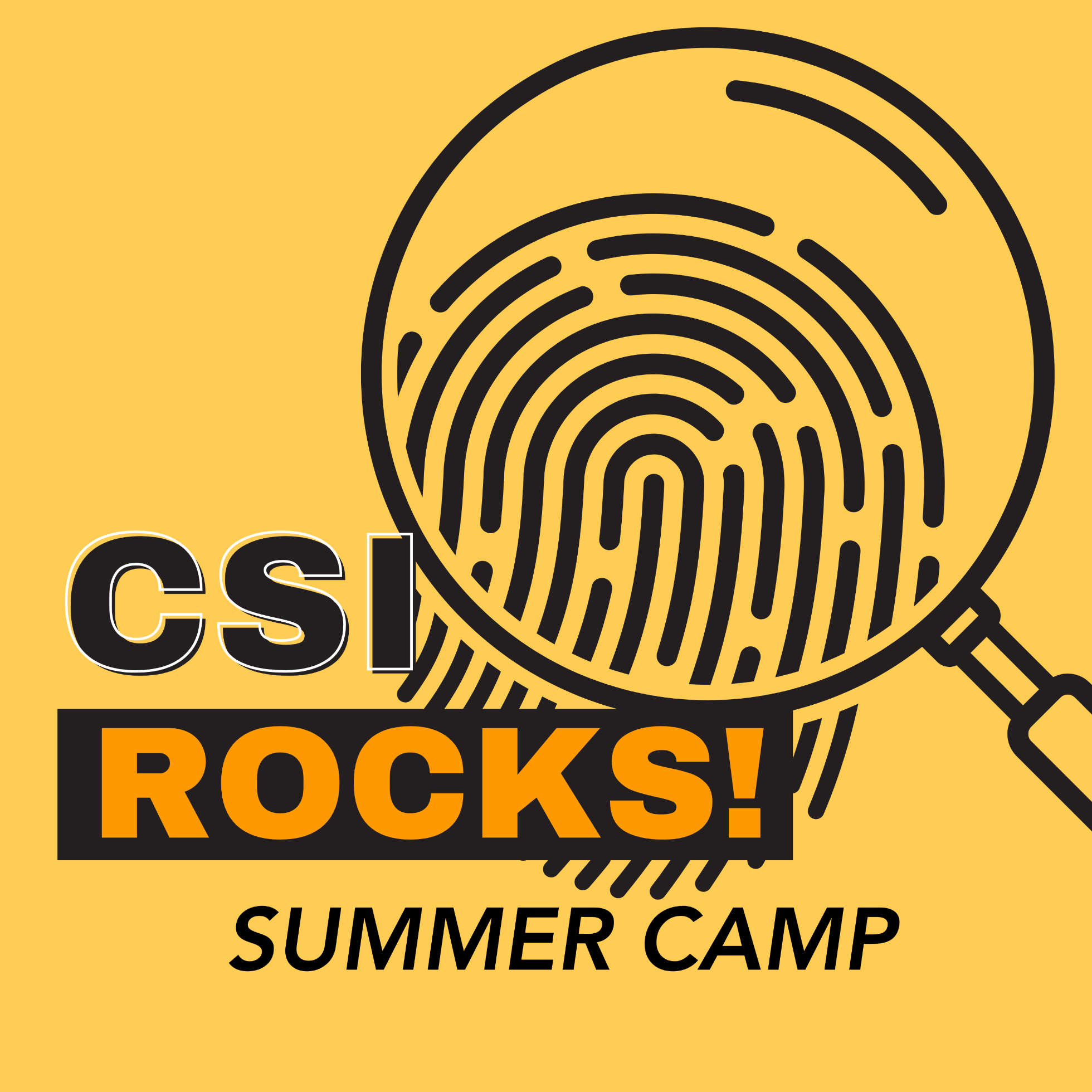 CSI Rocks! (grades 10-12)