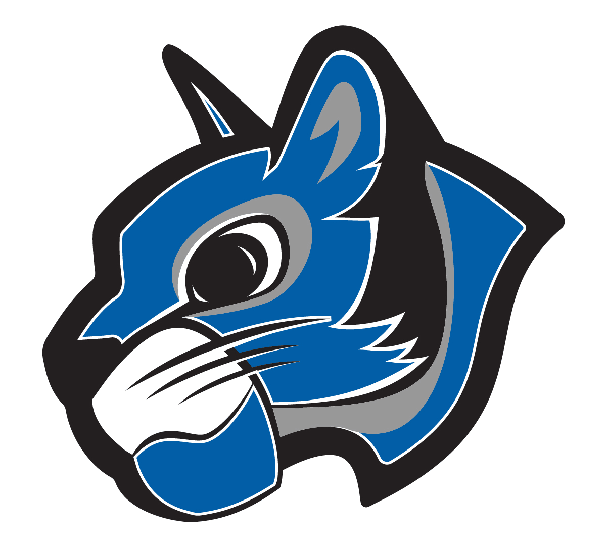 Desert Canyon mascot