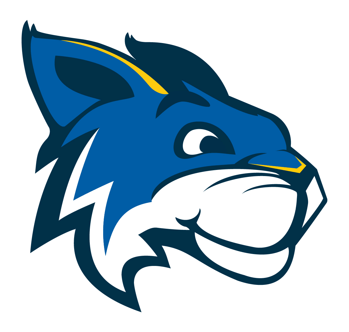 Cochise mascot