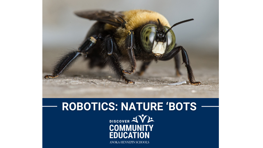Picture for: Elem - Robotics: Nature 'Bots