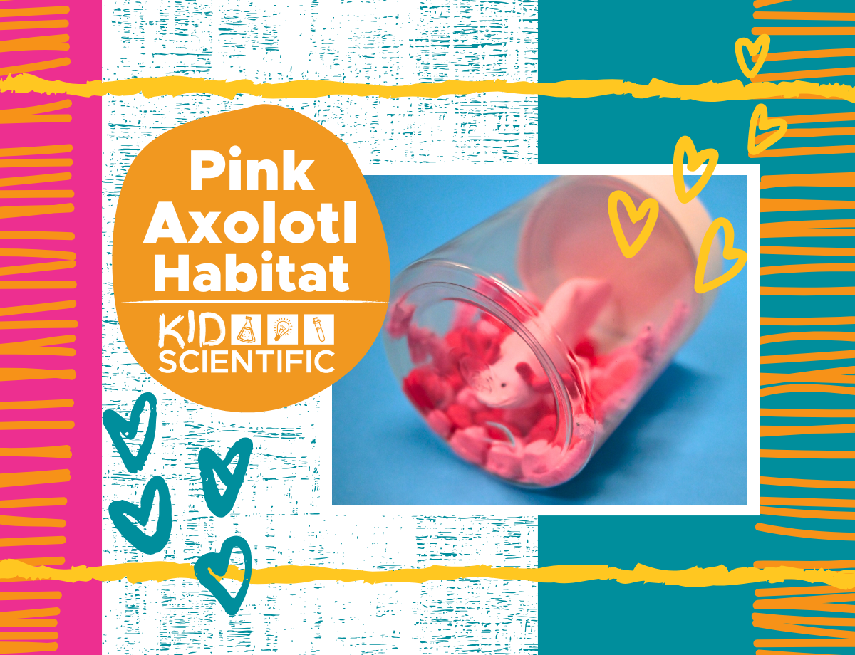 Picture for: Elem - Pink Axolotl Habitat