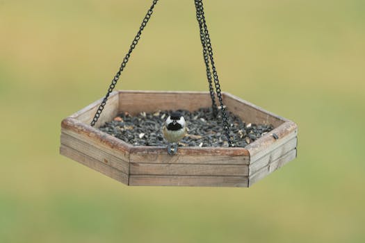 Picture for: Elem - Woodworking