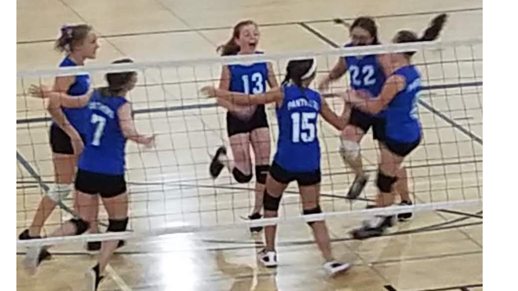 Picture for: Westwood MS Girls Volleyball 2026 Gr 7-8