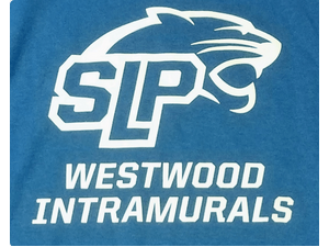 Picture for: Westwood Intramurals: Soccer Gr 5-8