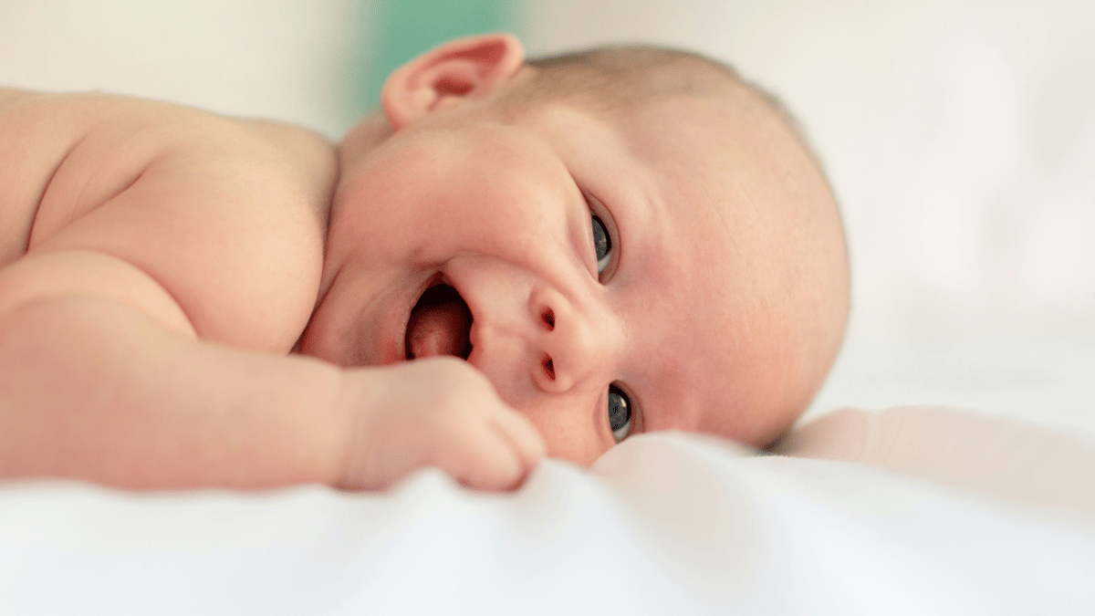 Picture for: Bright Beginnings - Hermantown