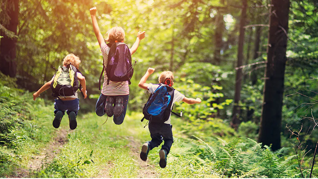 Picture for: Hiking & Backyard Games