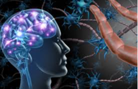 Picture for: Alzheimer Disease: What it is and what can be done