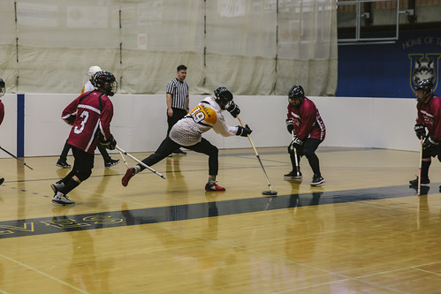 Picture for: TYKES Floor Hockey (Ages 3-6)