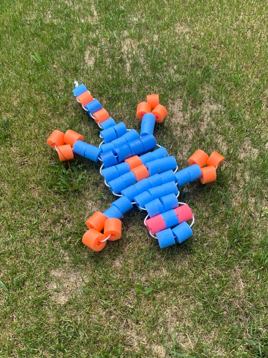 Picture for: Pool Noodle Beaded Lizard
