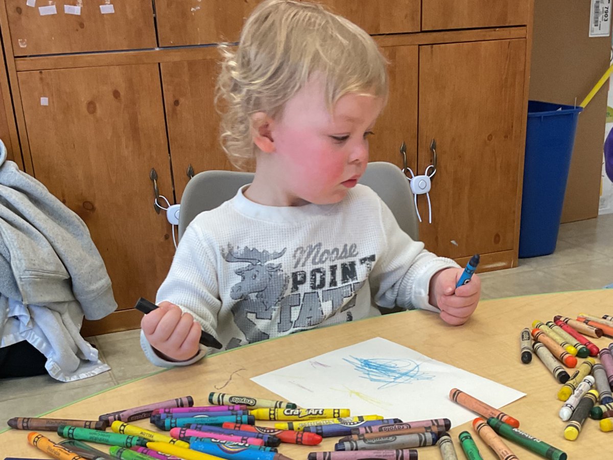 Picture for: Terrific Twos - Proctor