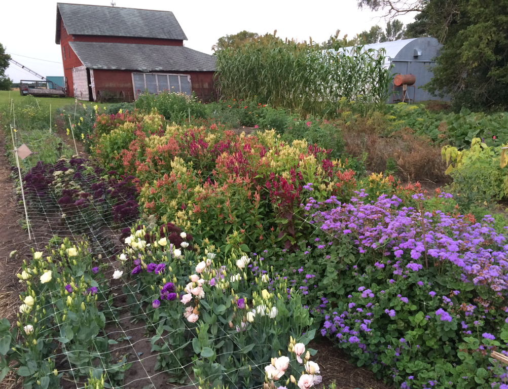 Picture for: Garden Tour and Fresh Flower Class