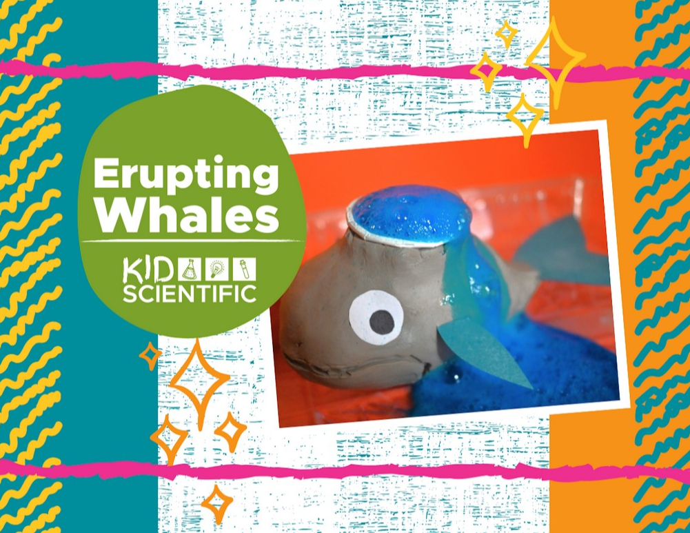 Picture for: Erupting Whale with KidScientific
