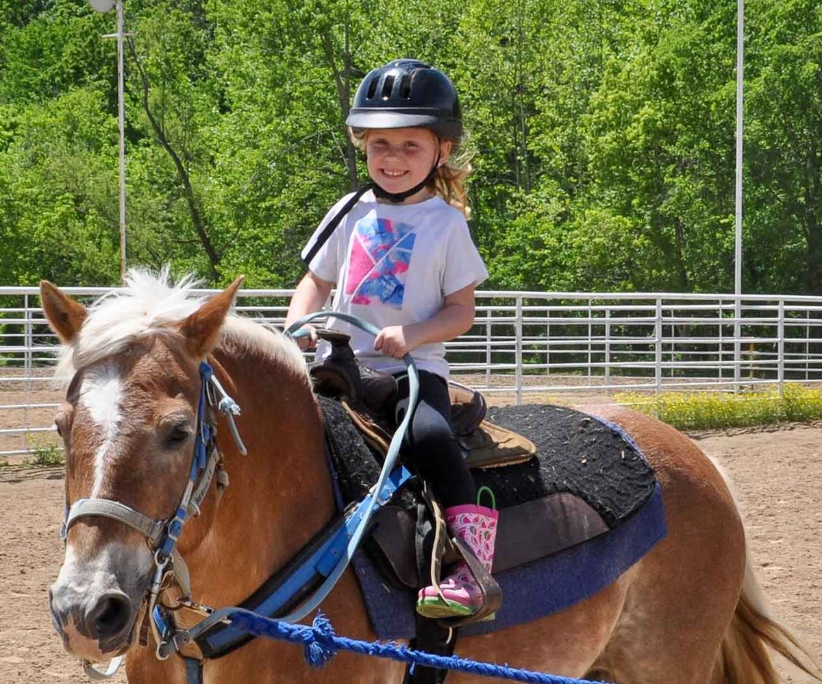 Picture for: My Little Horse Camp