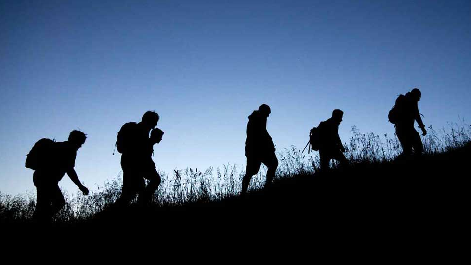 Picture for: Hike at Night: Families