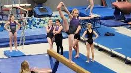 Picture for: Albany Gymnastics Team