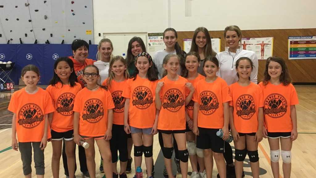 Picture for: Spring Volleyball Skills Clinic