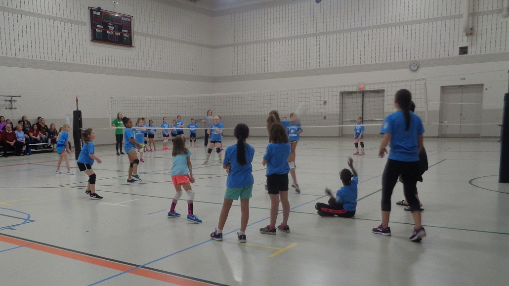 Picture for: Orange Lions Fall Volleyball League