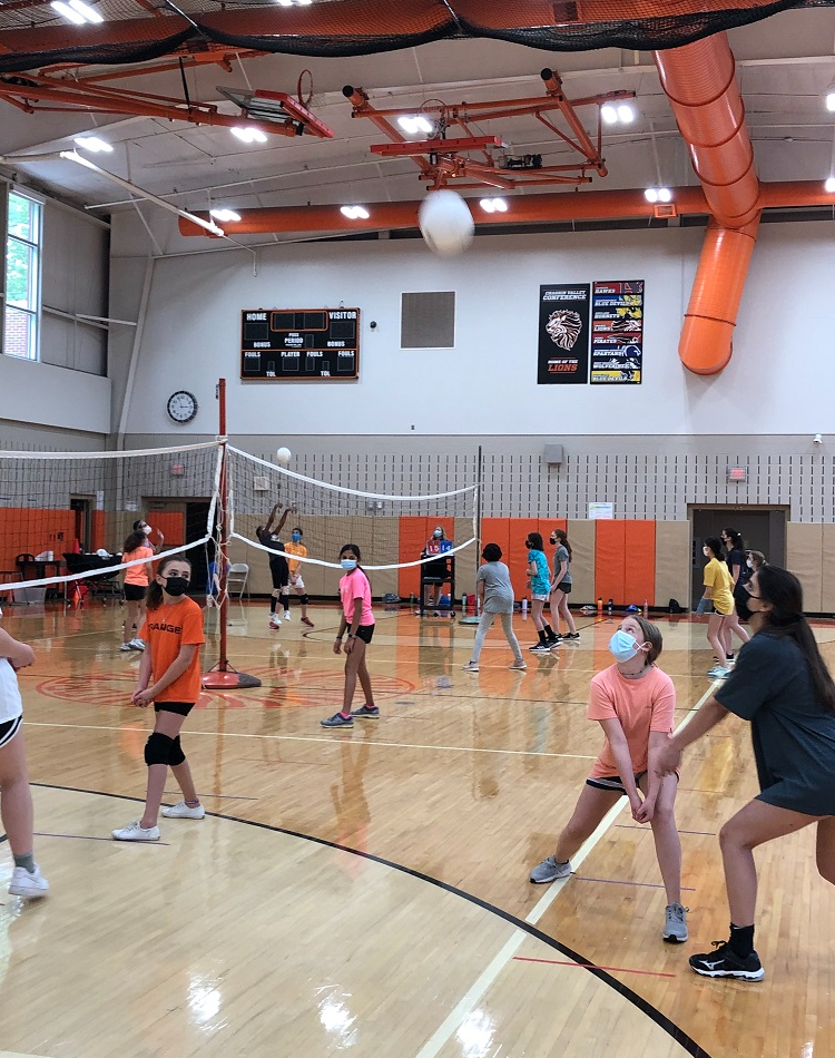 Picture for: Spring Volleyball Skills Clinic