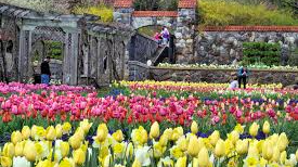 Picture for: Biltmore Estate & Asheville, NC