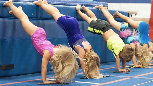 Picture for: Gymnastics: Tumble Cats