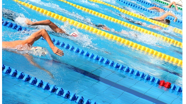 Picture for: Lap Swim