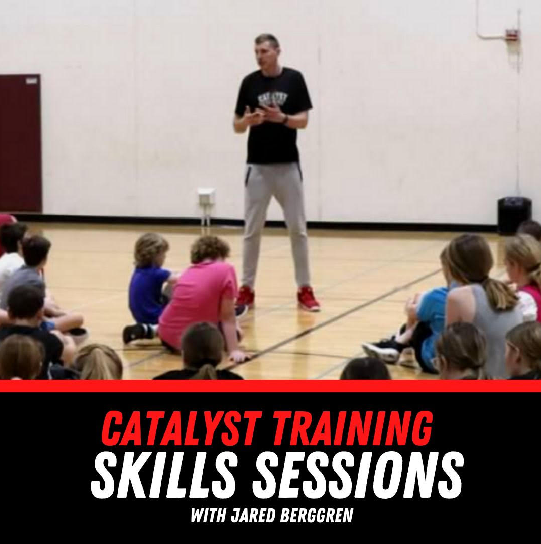 Picture for: Catalyst Basketball Skills Training
