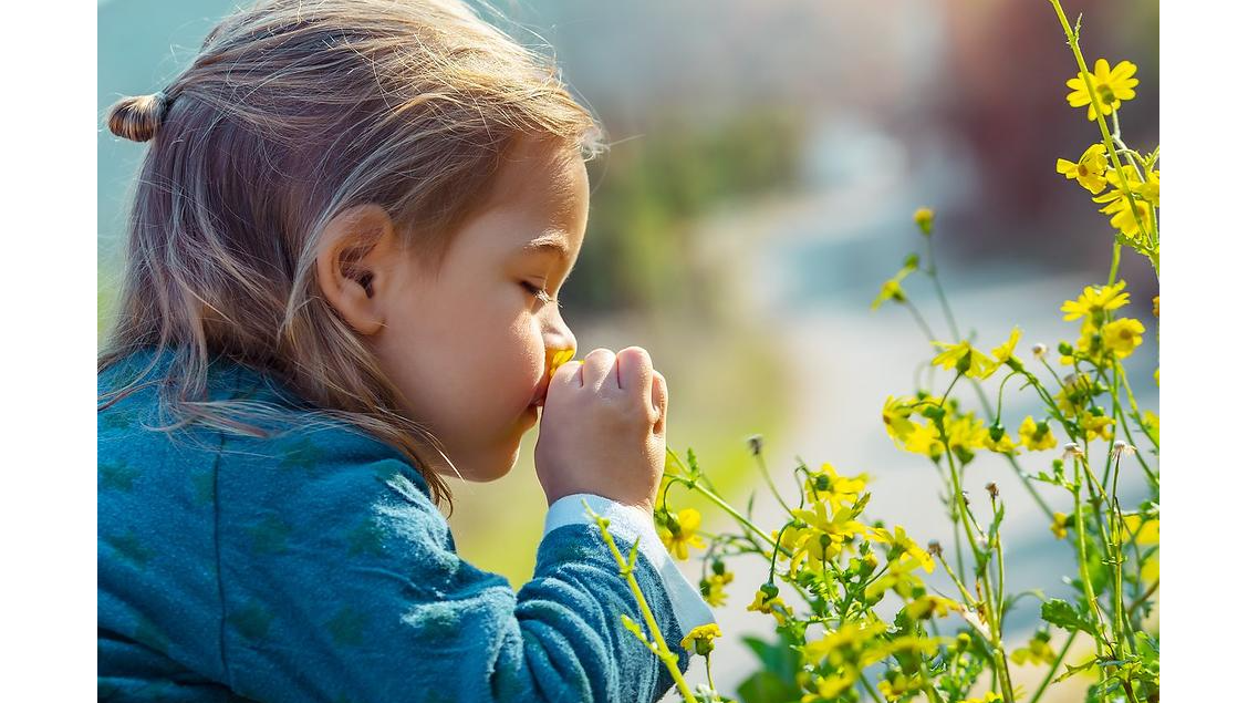 Picture for: Nature Club