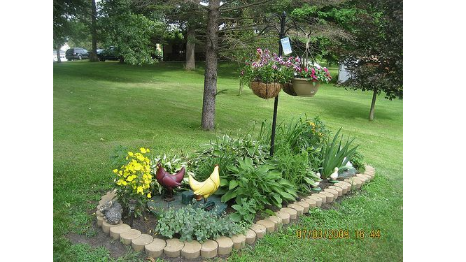 Picture for: Landscaping Septics