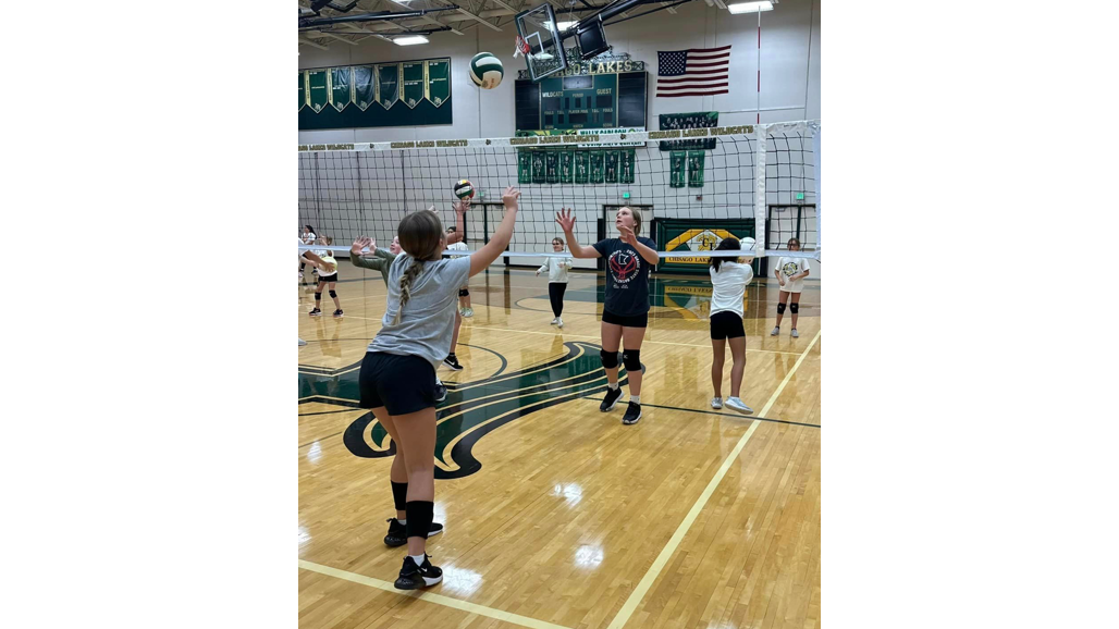 Picture for: Little Wildcat Volleyball
