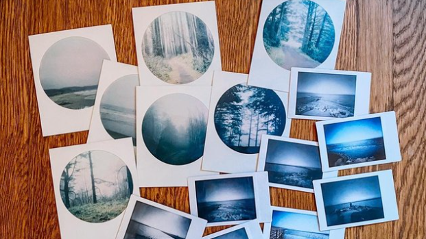 Picture for: Photo Organization Solutions