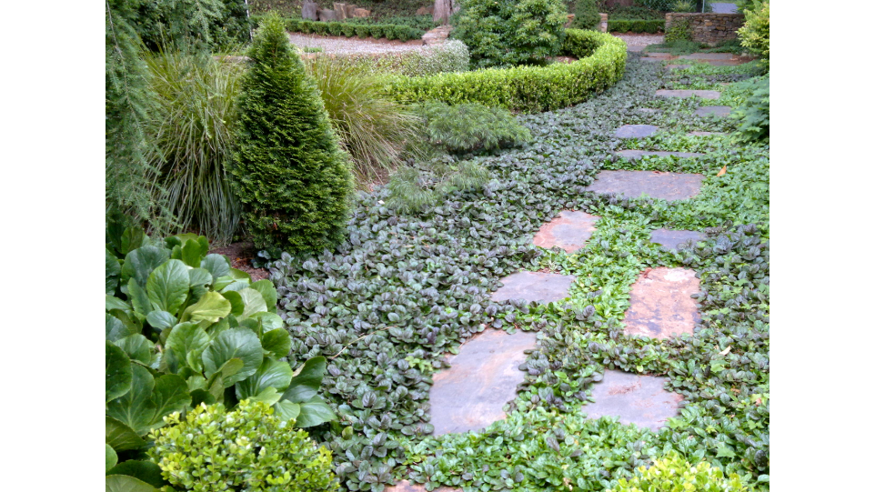 Picture for: Native Perennial Planting