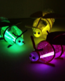 Picture for: Fireflies and Bees