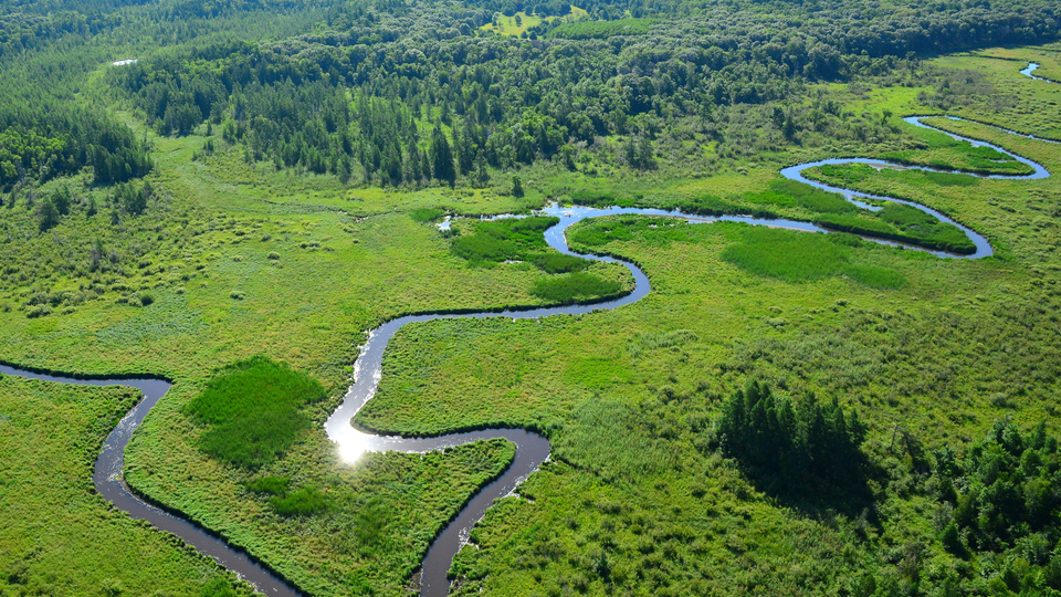 Picture for: Cedar Creek Ecosystems Science Reserve