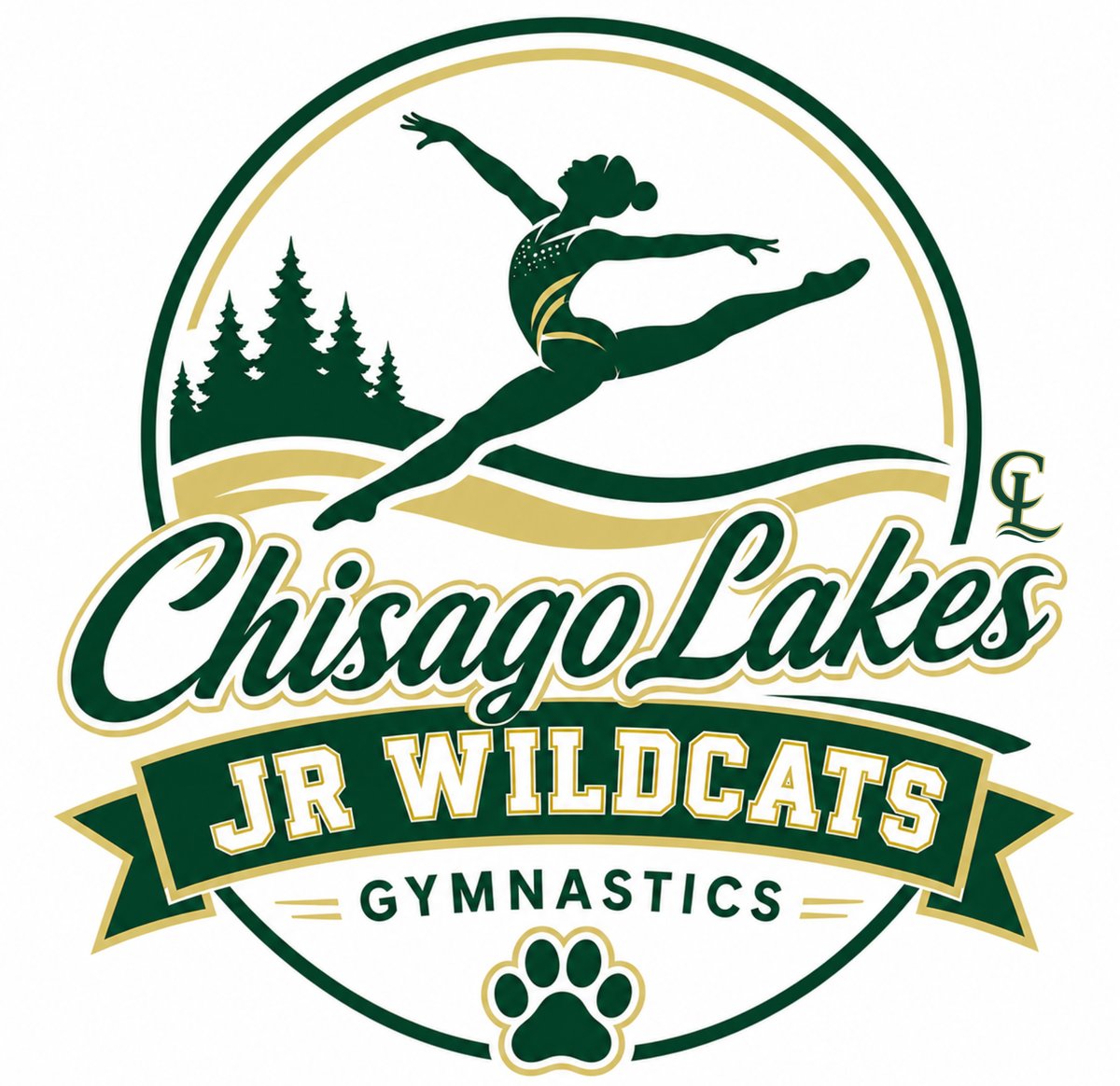 Picture for: Chisago Lakes JR Wildcats Gymnastics
