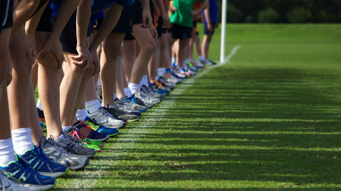 Picture for: Track