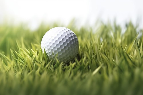 Picture for: Playgolf