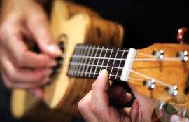Picture for: Ukulele Skillbuilder (Level 2)