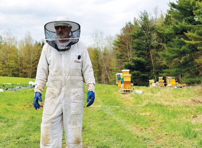Picture for: Successfully Overwinter Honeybee Colonies with Confidence