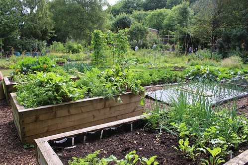 Picture for: Permaculture