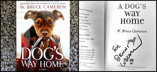 Picture for: Fun with Lampers