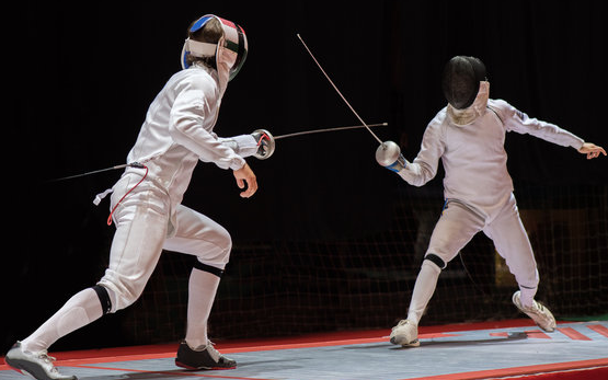 Picture for: Fencing : YEL