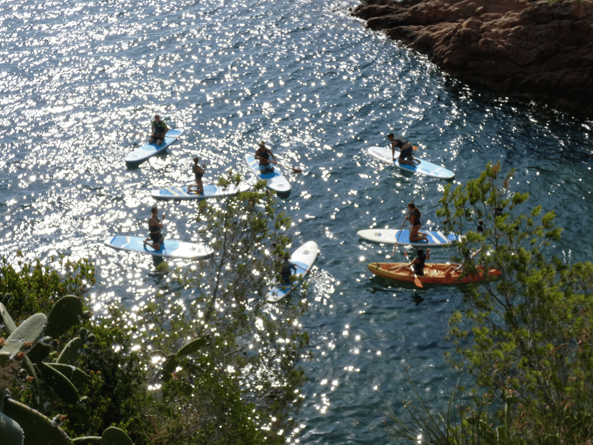Picture for: Paddle Technique | age 13+