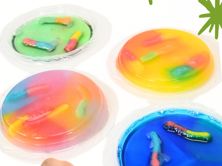 Picture for: Grossology | age 5-12