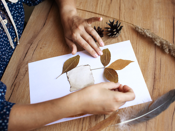 Picture for: Family Camp | age 1+ w/ Parent