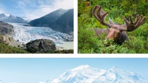 Picture for: Alaska - Call of the Wild