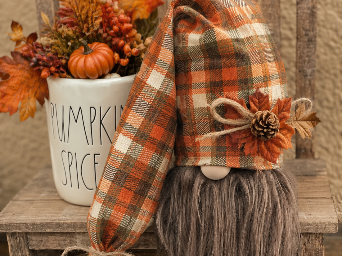 Picture for: Fall Gnomes