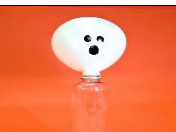 Picture for: Spooky Science | grades K-5