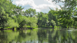 Picture for: Sauk River Watershed District Classes