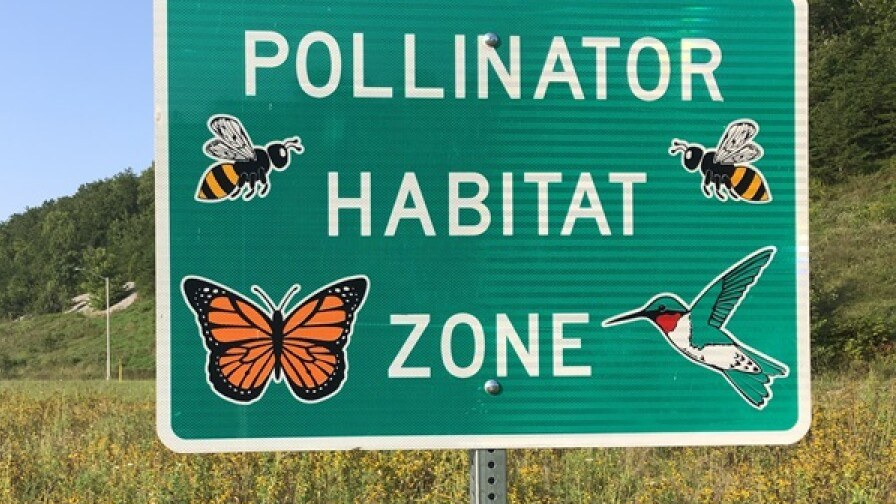 Picture for: Doing It Different: Habitat Help for Lawns, Shorelines & Pollinators