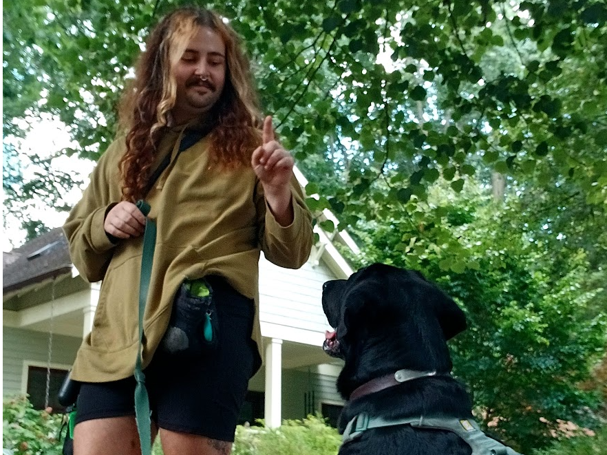 Picture for: Perna's Pet Care Dog Training